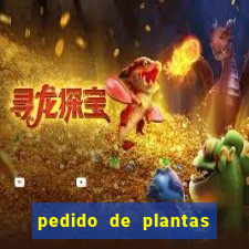 pedido de plantas stardew valley onde entregar